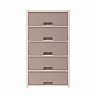 Комод пятисекционный Альтернатива Колорит, 56 x 39 x 100 см, бежевый фото