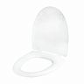 Сиденье для унитаза Инкоэр Элит-2, белое фото