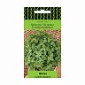 Семена Базилик овощной Шалун Поиск Четыре лета, 0,1 г фото