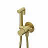Встраиваемый гигиенический душ со смесителем IDDIS Axes, золото матовое фото