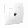 Розетка ТВ Systeme (Schneider) Electric Blanca BLNTS000011, встраиваемая, белая фото