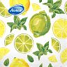 Салфетки бумажные сервировочные Лилия Мохито, двухслойные, 20 шт фото