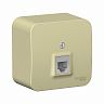 Розетка телефонная RJ11 Systeme (Schneider) Electric Blanca, накладная, бежевая фото