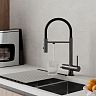 Смеситель для кухни IDDIS Ace, с гибким изливом и подключением к фильтру, графит фото