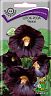 Семена цветов Шток-роза черная Поиск, 0,1 г фото