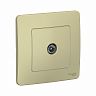 Розетка ТВ Systeme (Schneider) Electric Blanca BLNTS000017, встраиваемая, бежевая фото