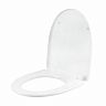 Сиденье для унитаза Wirquin Самара, крепление нержавеющая сталь, белое фото
