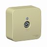 Розетка ТВ Systeme (Schneider) Electric Blanca, накладная, бежевая фото