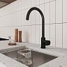 Смеситель для кухни Milardo Rora, с подключением к фильтру, черный матовый фото