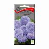 Семена цветов Астра Валентинов день Лавандовая Поиск, 0,2 г фото