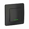Переключатель 1-клавишный Systeme (Schneider) Electric Blanca, встраиваемый, с подсветкой, антрацит фото