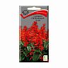 Семена цветов Сальвия сверкающая Костер Поиск, 0,1 г фото