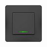Переключатель 1-клавишный Systeme (Schneider) Electric Blanca, встраиваемый, с подсветкой, антрацит фото
