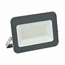 Прожектор светодиодный IEK СДО 07-70, 70 Вт, 6500 К, IP65, серый фото
