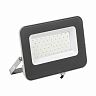 Прожектор светодиодный IEK СДО 07-50, 50 Вт, 6500 К, IP65, серый фото