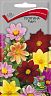 Семена цветов Георгина Радуга Поиск, 0,3 г фото
