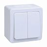 Выключатель двухклавишный накладной IEK Гермес Plus ВС20-2-0-ГПБ, 10 А, IP54, белый фото