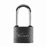 Замок навесной Tech-Top TH-03-01, с длинной дужкой, 120 x 60 x 24 мм, 3 ключа фото