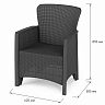 Кресло Альтернатива Ротанг Лайт, 62 x 58,5 x 85 см, графитовый фото