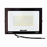 Прожектор светодиодный Rexant, 100 Вт, 4000 К, IP65, черный фото