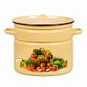 Кастрюля эмалированная СтальЭмаль с крышкой, 9 л, с декором фото