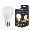 Лампа светодиодная матовая Energy, E27, груша, 15 Вт, 3000 K, теплый свет фото