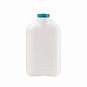 Канистра Альтернатива Гарант, 15 л, белая фото