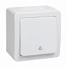 Выключатель одноклавишный накладной IEK Гермес Plus ВСк20-1-0-ГПБ, 10 А, IP54, белый фото