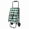 Сумка-тележка хозяйственная Рыжий кот D-203 Green фото