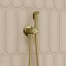 Встраиваемый гигиенический душ со смесителем IDDIS Axes, золото матовое фото