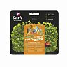 Набор для выращивания микрозелени Darit Индау, 2 г фото