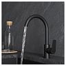 Смеситель для кухни Milardo Meal M01BLJ0M05, черный матовый фото