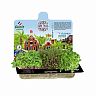 Набор для выращивания микрозелени Darit, капуста, салат, мизуна, 3 г фото