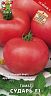 Семена Томат Сударь F1 Поиск, 12 шт фото